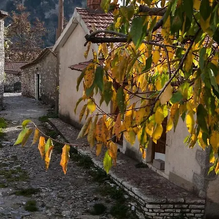 Bezeniko Amazing Arcadian Property!