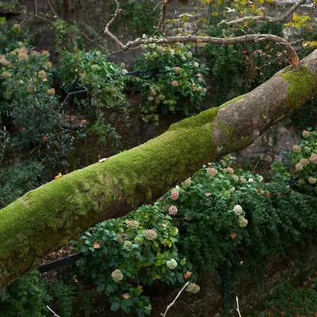 Bezeniko Amazing Arcadian Property! Villa