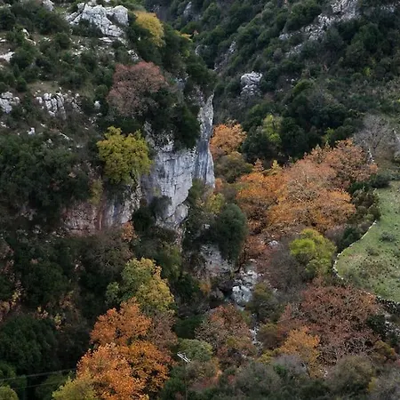 Bezeniko Amazing Arcadian Property! *