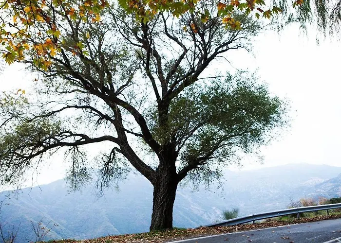 Bezeniko Amazing Arcadian Property! Vlacherna