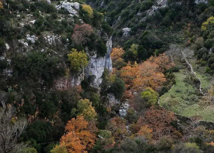 Bezeniko Amazing Arcadian Property! *